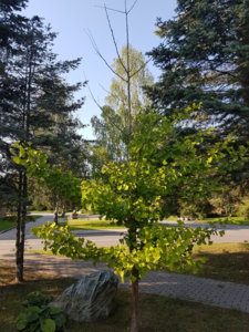 20180729_175856.jpg