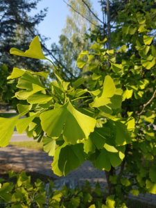 20180729_175904.jpg