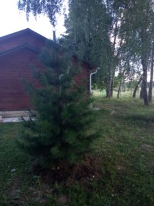 IMG_20180808_161200[1].jpg