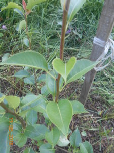 DSCN3397.JPG