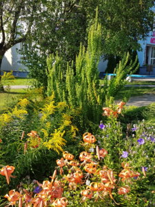 20180729_180038.jpg