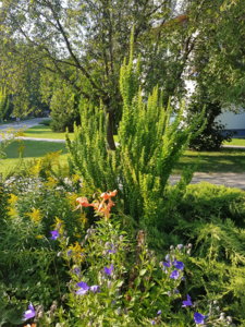 20180729_180021.jpg