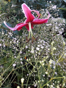 20180814_075537.jpg