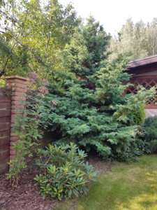 20180814_101222.jpg