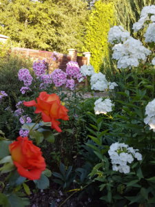 20180806_193331.jpg