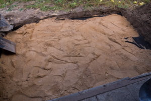 img-p-1090435_resize.jpg