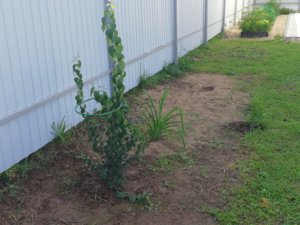 IMG_20180806_100808.jpg