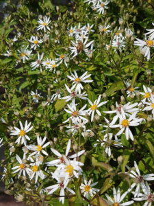 20180814_105148.jpg