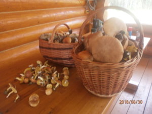 P8300188.JPG