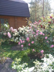 2018-08-27 10-29-23.JPG