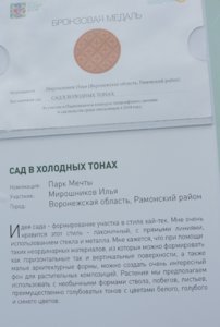Сад в холодных тонах.jpg