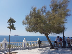 20180822_121050.jpg