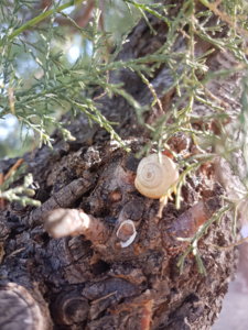 20180824_101934.jpg