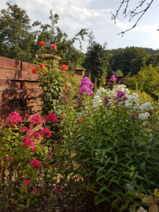 20180814_102701.jpg