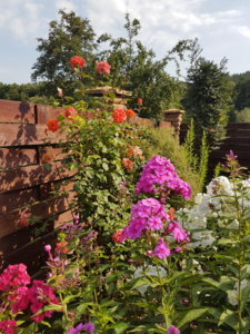 20180814_102724.jpg