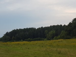 20180814_201304.jpg