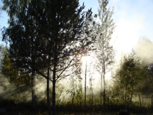 2015-09-26 13-40-50.JPG