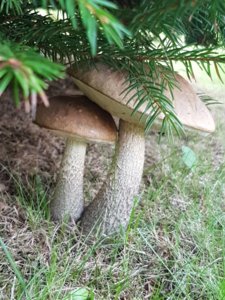 20180901_173336.jpg