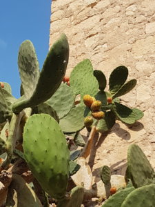 20180825_101158.jpg