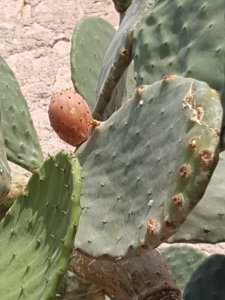 20180825_101206.jpg