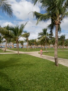 P70118-062935-12.jpg