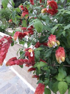 IMG-20180922-WA0000.jpg