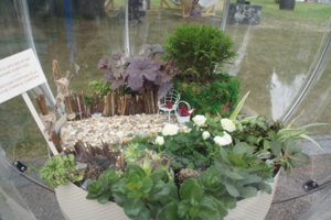 DSC00470.JPG