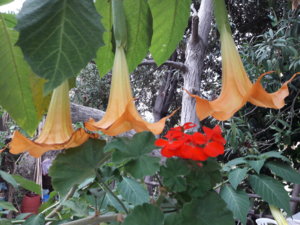 20180927_171307.jpg
