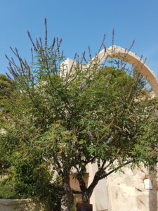 20180825_112251.jpg