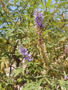 20180825_112303.jpg