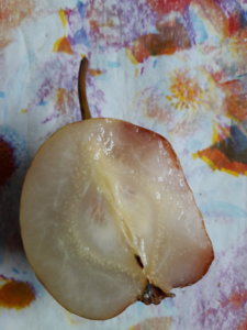 20181006_145049.jpg