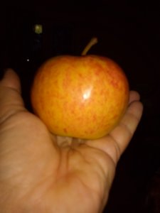 IMG_20180907_192208.jpg