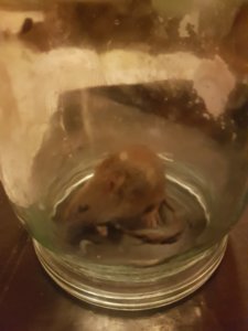 20181010_235720.jpg