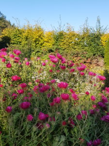 20181006_110309.jpg