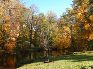 DSCN8835.JPG