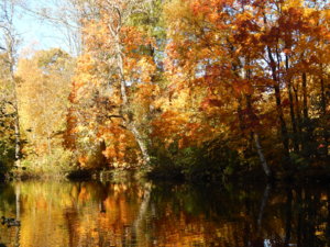 DSCN8857.JPG