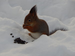 DSCN5209.JPG