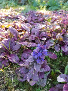 20181006_110839.jpg