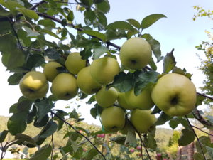 20180909_132535.jpg