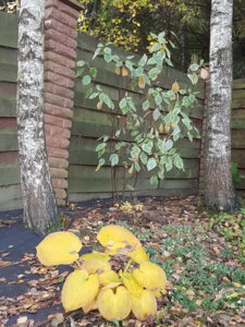 20181007_102726.jpg
