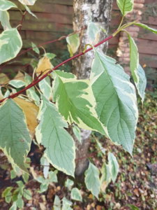 20181007_102842.jpg