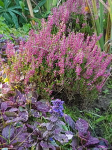 20181006_110946.jpg