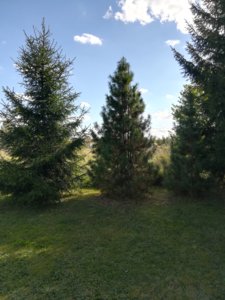 IMG_20180915_143019.jpg