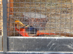 DSCN8940.JPG