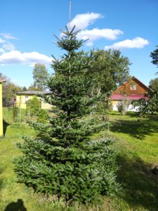 IMG_20180915_143329.jpg