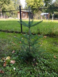 IMG_20180915_140915.jpg