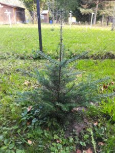 IMG_20180915_140927.jpg