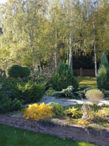 20181006_111514.jpg
