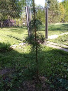 IMG_20180511_173815.jpg
