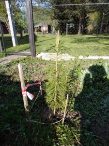 IMG_20180511_173831.jpg